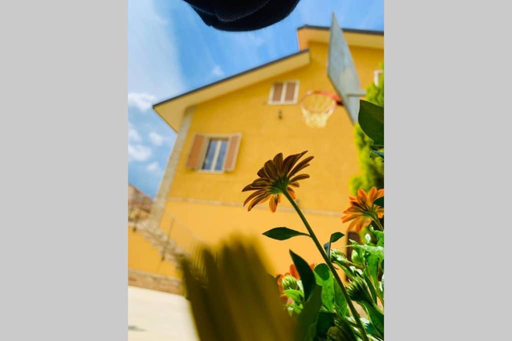 Flowery House Miglianico Exterior photo